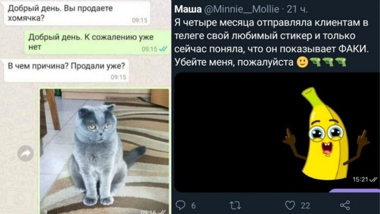Что такое не везет: истории из жизни