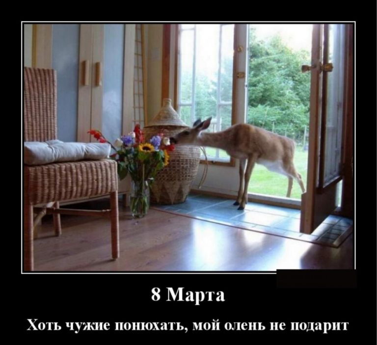 Демотиваторы для отличного настроения