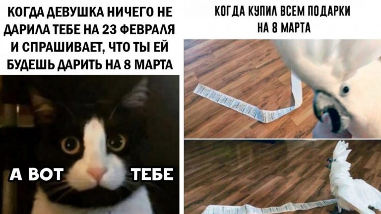 Новенькие фото приколы и мемы от остроцумцев из Сети
