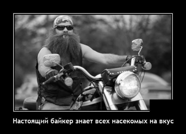 Веселые, жизненные демотиваторы и что знают все настоящие байкеры