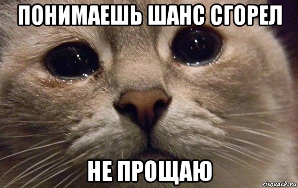 Ложка-это маленькая ложь: какие поступки не простят свой второй половинке знаки Зодиака