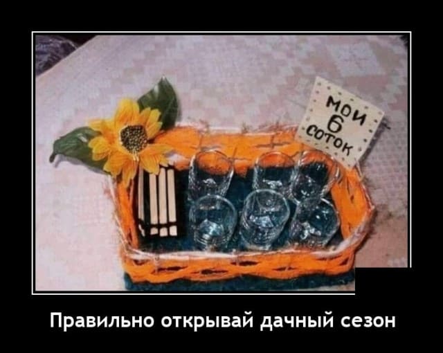 Демотиваторы на утро и дачный сезон