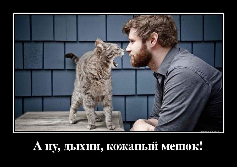 Очередная свежая подборка демотиваторов