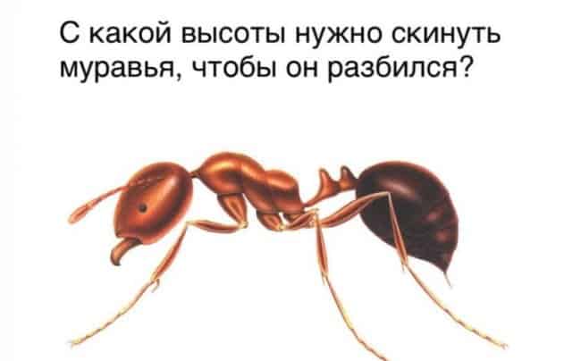 Вопросы из серии «И тут я задумался» на которые нет ответов в учебниках