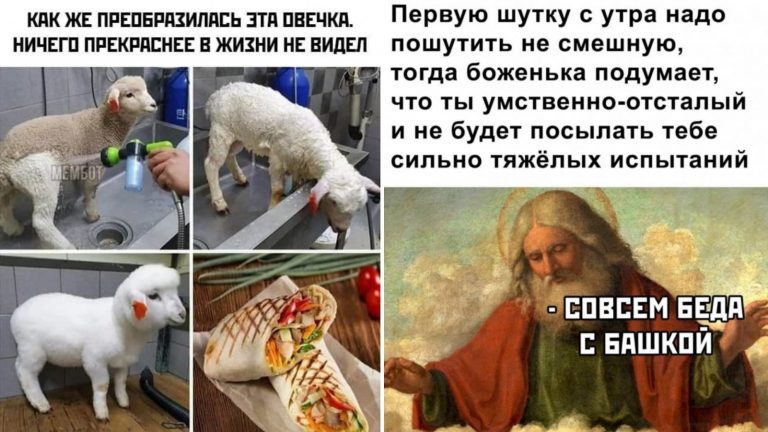 Эта подборка черного юмора темнее чем черная икра и Багира