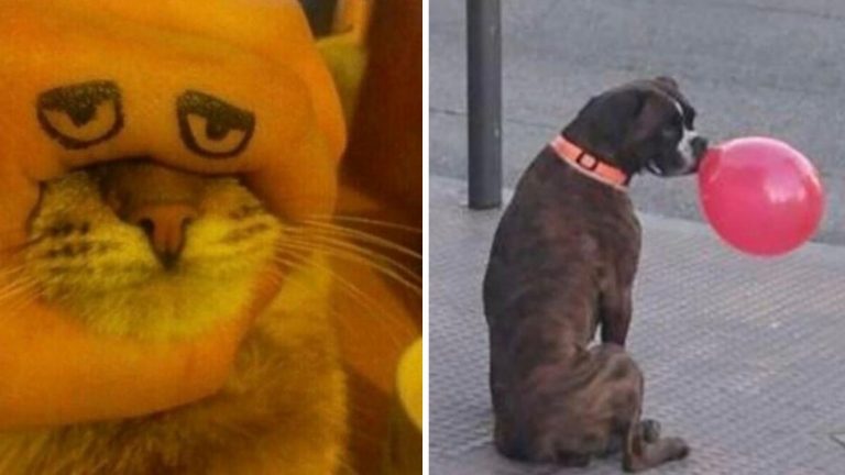 Ваши глаза вам не врут, это с реальностью что то пошло не так