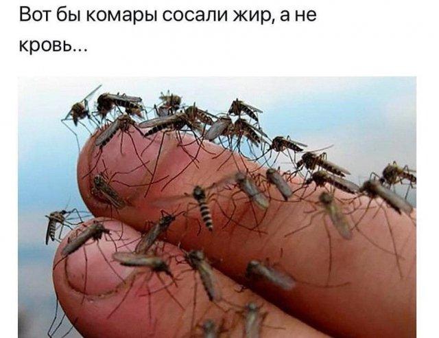 Вопросы и рассуждения от людей, которые плохо учились в школе