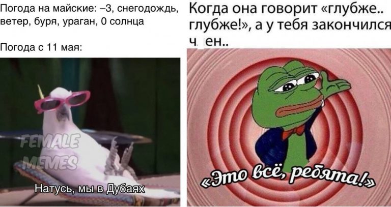 Мемы и приколы про отношения и «взрослые дела»