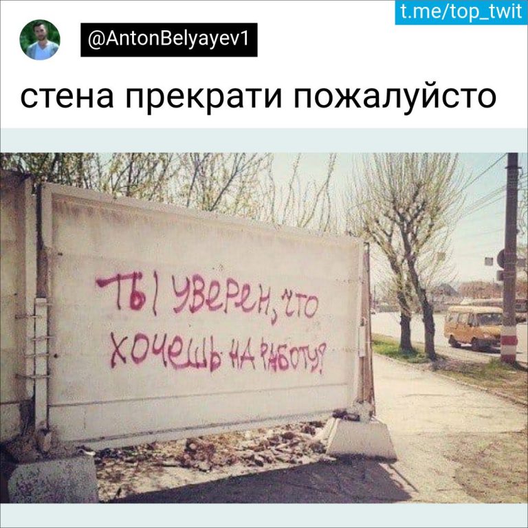 Юмор за день и настенная мудрость