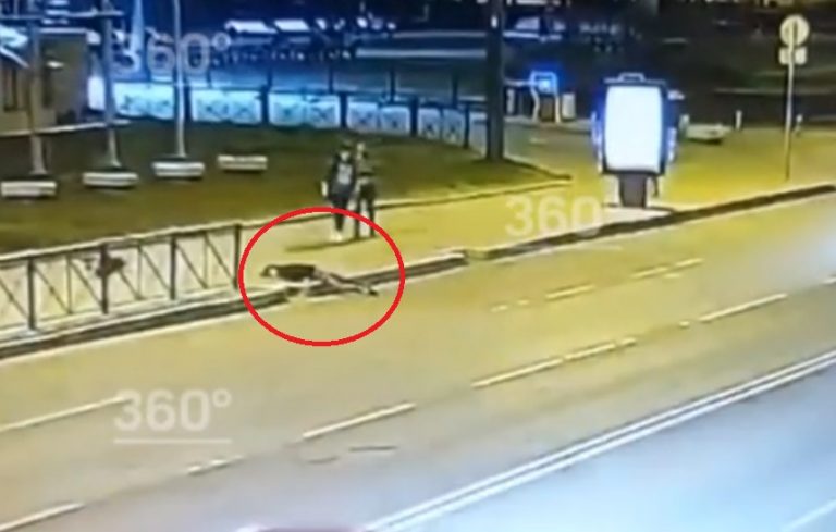 Артист Мариинского театра впал в кому после падения с электросамоката (ВИДЕО)