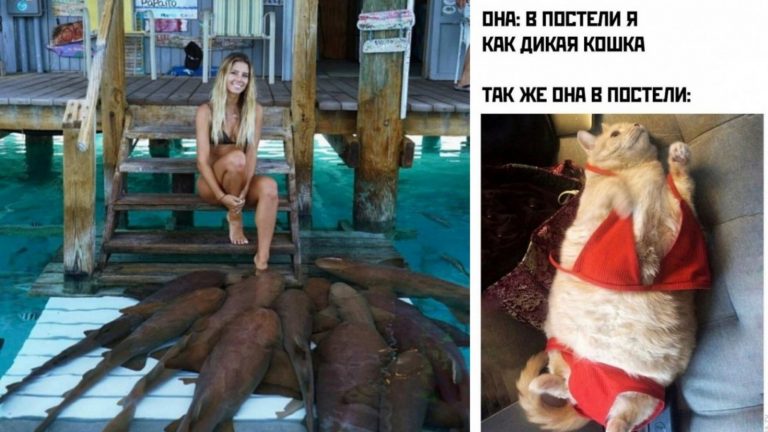 Фото приколы и мемы для поднятия настроения с колен