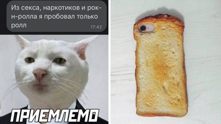 Фото приколы на утро и когда пробовал только роллы