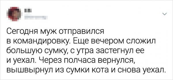 Подборка забавных и жизненных твитов про отношения и командировка с котом