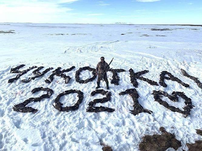 Чукотский охотник выложил надпись из мертвых гусей. Заведено дело