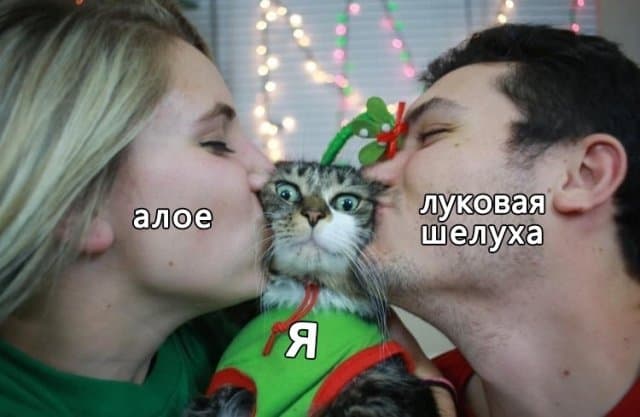 Шутки и мемы для пенсионеров и людей постарше