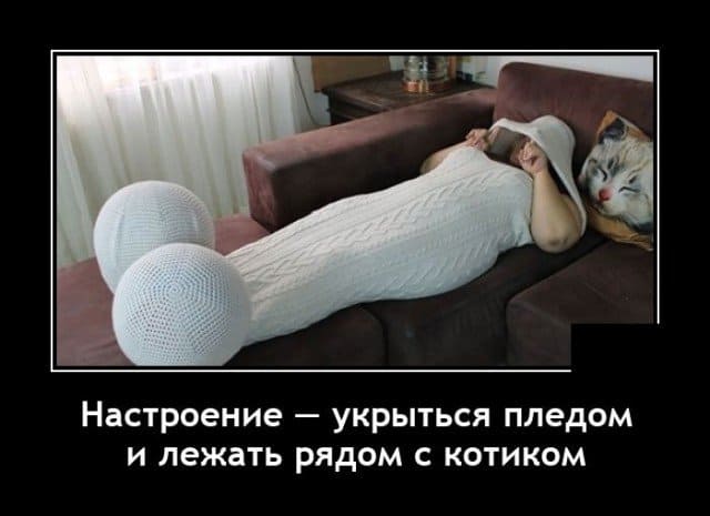 Демотиваторы: выпуск для бодрости в понедельник