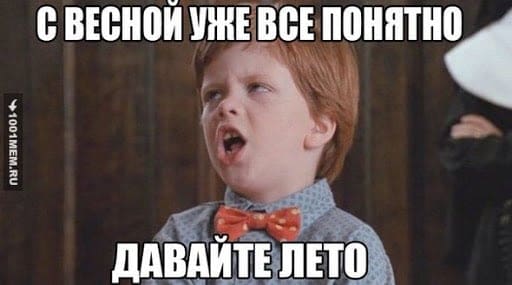 Общий гороскоп на лето 2021 для Скорпионов и всех- всех- всех