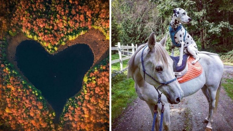 38 прикольных и позитивных фотографий для борьбы со скукой
