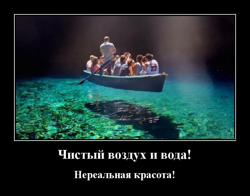 Свежие демотиваторы для вызывания улыбки в организме
