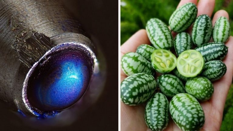 18 фотографий, которые больше похожи на фотошоп, но они настоящие