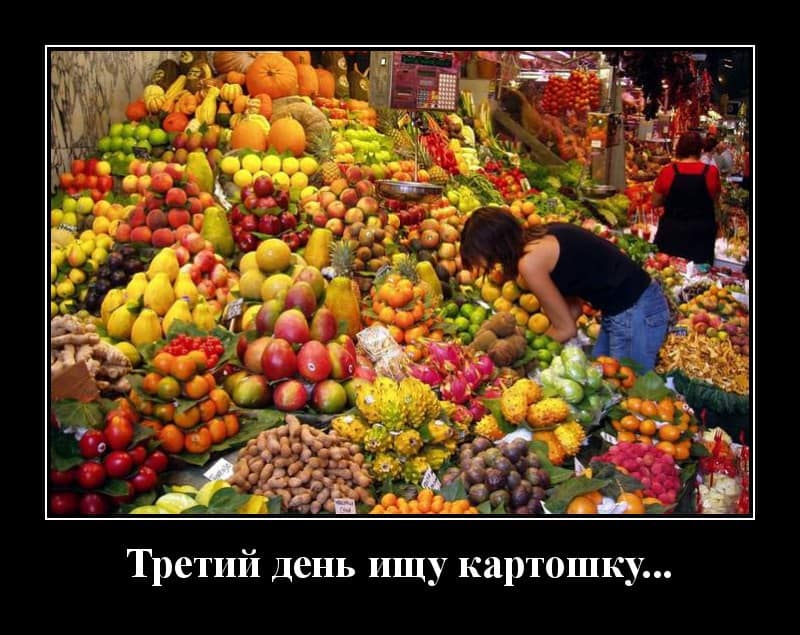 Пятничные демотиваторы и когда не можешь найти картошку