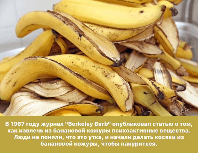 25 любопытных фактов, которые вскружат вам голову