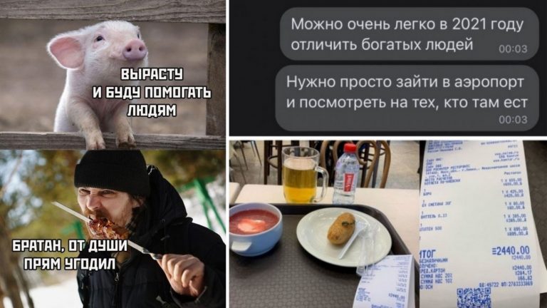 Фото приколы с мемами и когда хрюшка хотела как лучше