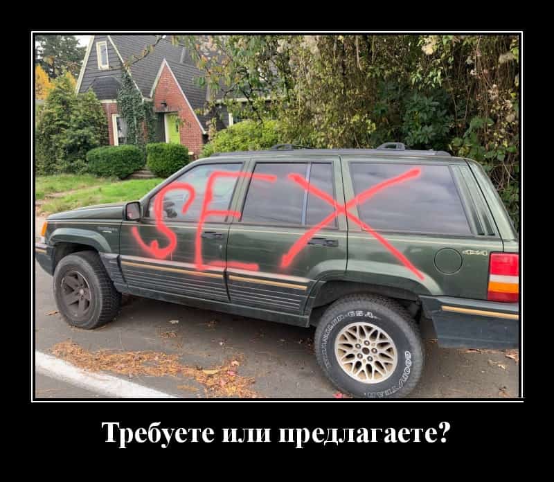 Демотиваторы для молниеносного поднятия настроения