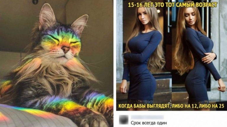 Мемы и познавательные фото, на которых отдыхает глаз