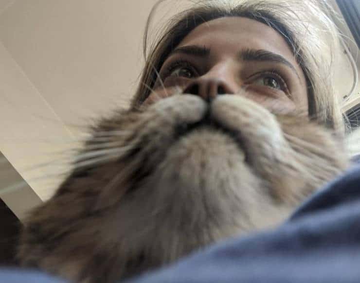 Оптические иллюзий, которые заставят напрячь зрение