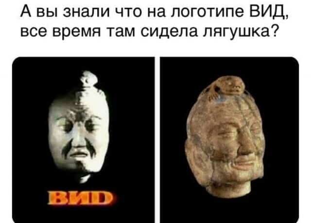 Коллекция прикольных картинок с надписями и всякие жизненные фразы