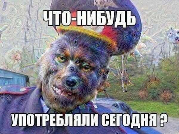 Юмор за день и употребляли