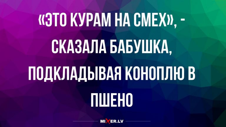 Юмор за день и куры