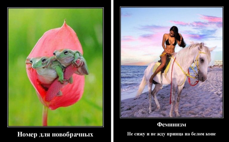 Прикольные демотиваторы и принц на белом коне