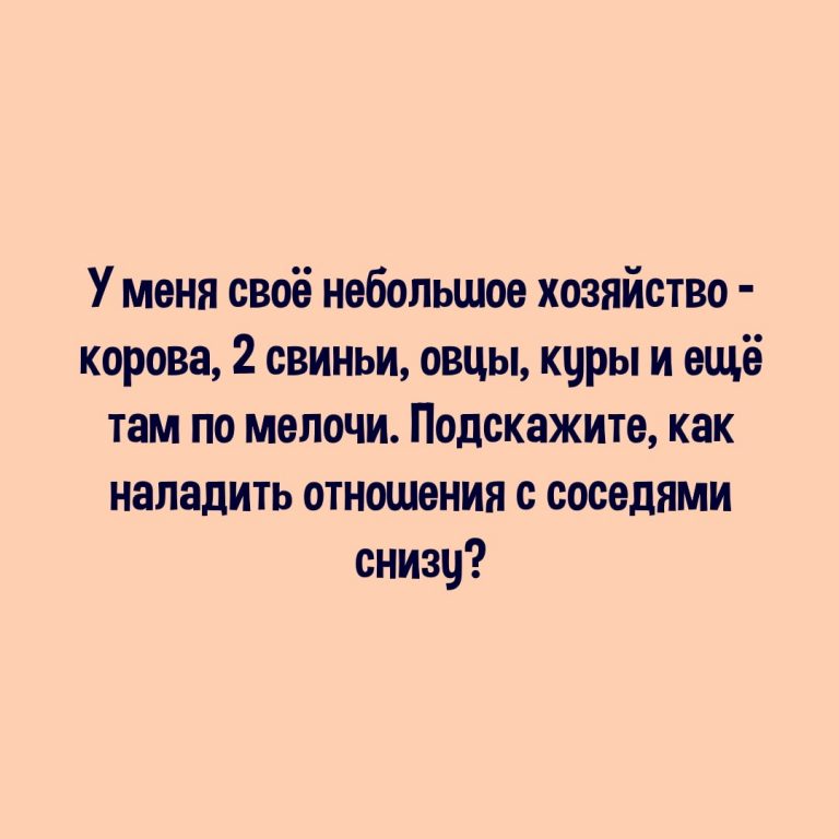 Юмор за день и небольшое хозяйство