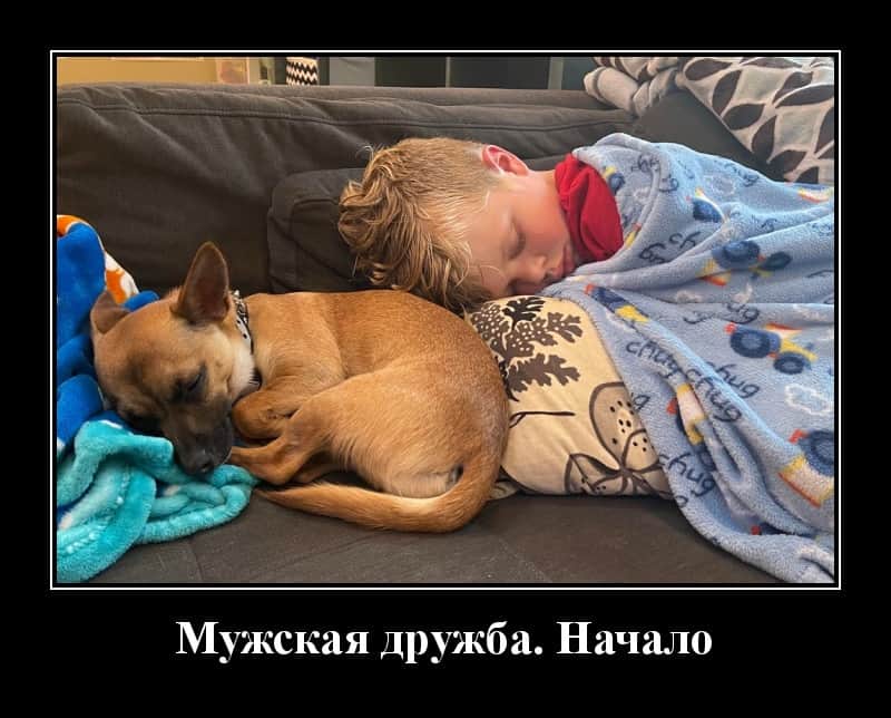 Яркие демотиваторы в начале недели и мужская дружба