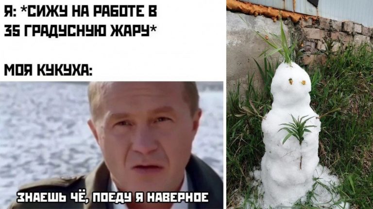 Тополиный пух жара июнь: шутки про жаркое лето 2021 с просторов сети