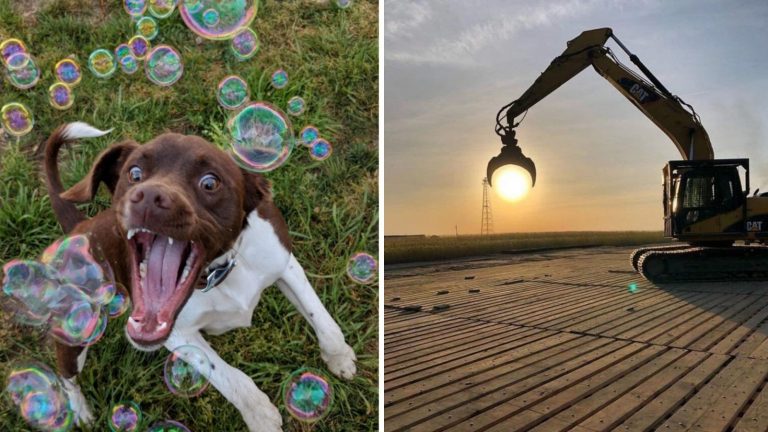 15 огненных фотографий сделанных в нужны момент