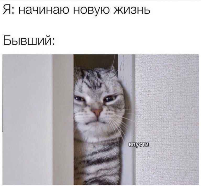 Юмор за день и бывший