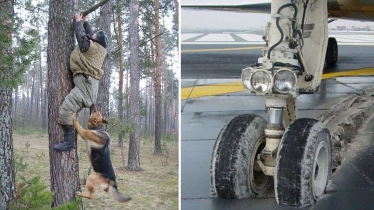 15 человек, которым есть что рассказать психоаналитикам о своих неудачах