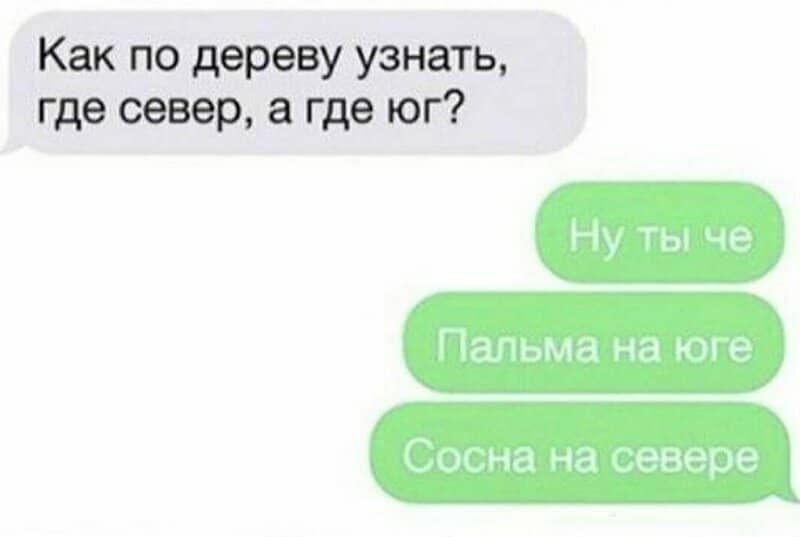 Переписываться так с юмором: 19 смешных смс — переписок