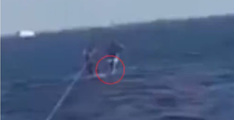 Акула схватила за пятку летевшего над Красным морем парасейлера (ВИДЕО)