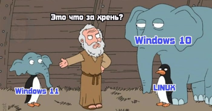 Microsoft, нормально же общались: реакция соцсетей на новый Windows 11