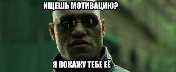 Благородство Льва и другие стимулы знаков Зодиака, которые мотивируют их двигаться дальше