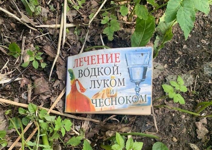 Лечение водкой, луком и прочие примеры веры в народную медицину