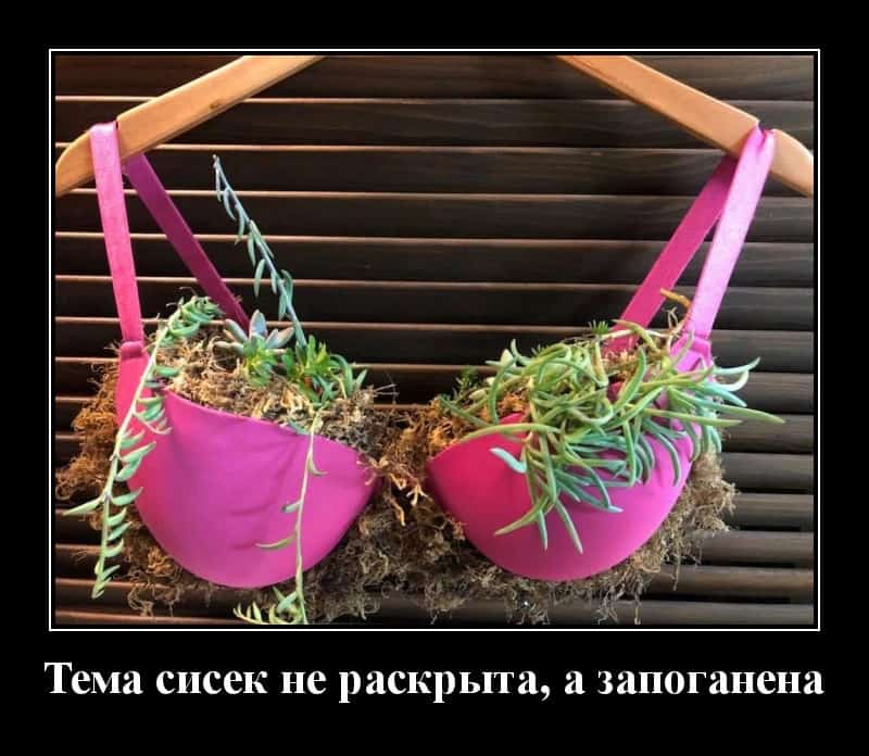 Новые демотиваторы для поддержания вашего отличного настроения!