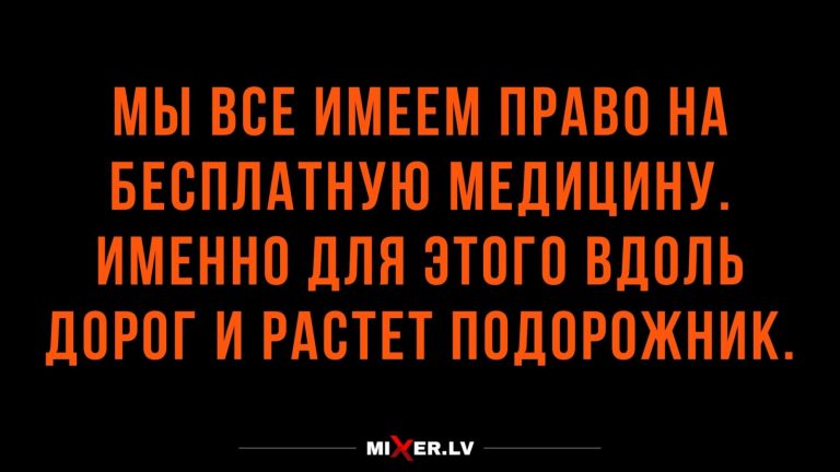 Юмор за день и подорожник