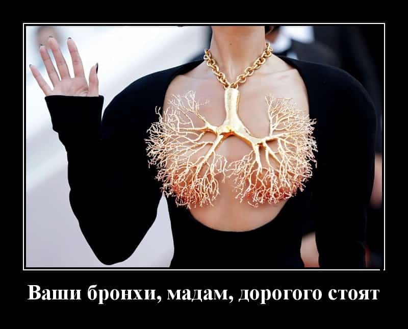 Подборка бодреньких демотиваторов
