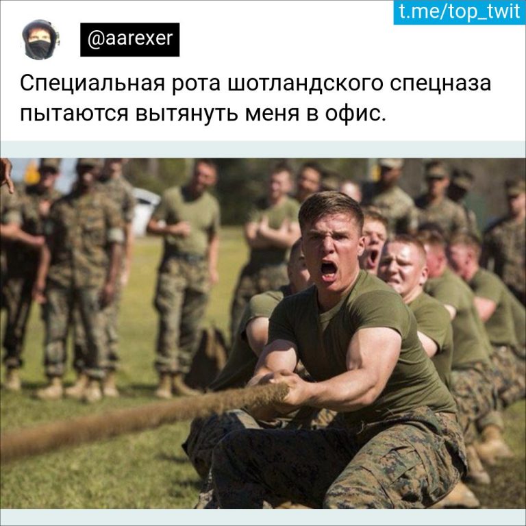 Юмор за день и шотландский спецназ