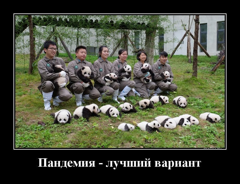 Калейдоскоп свежих демотиваторов и лучший вариант пандемии